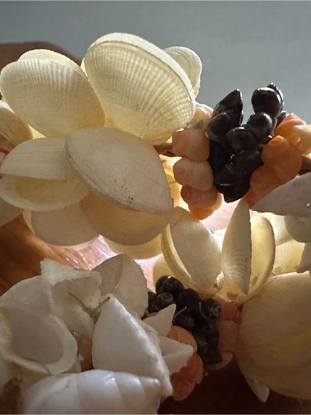 All Of The Ocean Lei